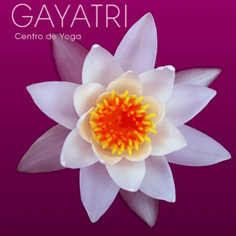 Gayatri - Centro de Yoga e Terapias, Hatha Yoga, Lisbon, Portugal